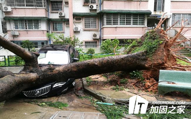 臺(tái)風(fēng)“山竹”對(duì)建筑物造成多大的影響？